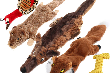 5Pcs Dog Squeaky Toys for Small Medium Dog, No Stuffing