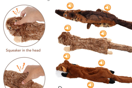 5Pcs Dog Squeaky Toys for Small Medium Dog, No Stuffing
