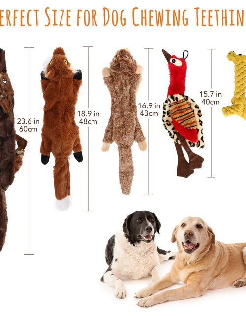 Load image into Gallery viewer, 5Pcs Dog Squeaky Toys for Small Medium Dog, No Stuffing
